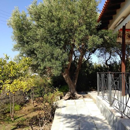 Gerakina Beach Cottage Psakoudia Exterior foto